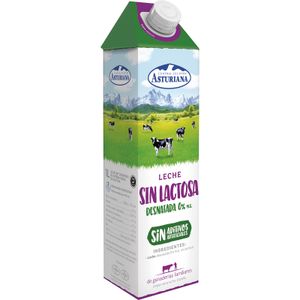 Leche sin Lactosa Desnatada Brik