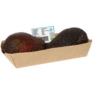 Aguacate Ecológico