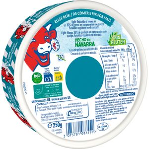 Queso Fundido Light Queso Azul 16 Porciones