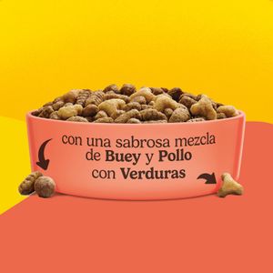 Comida Seca Gato con Buey y Pollo