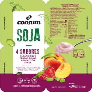 Postre de Soja con Fruta Panaché de frutas