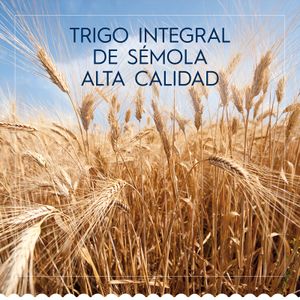Spaghetti Integral Caja