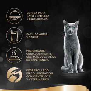 Pouch Delicias Pescado Comida Húmeda Gatos