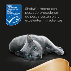 Pouch Delicias Pescado Comida Húmeda Gatos