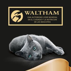 Pouch Delicias Pescado Comida Húmeda Gatos