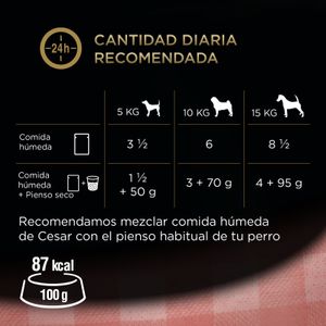 Comida Húmeda Perros con Salsa
