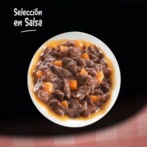 Comida Húmeda Perros con Salsa