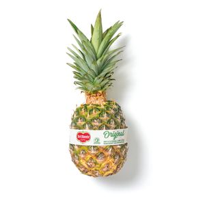 Piña Del Monte Entera