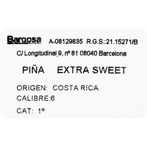 Piña Del Monte Partida