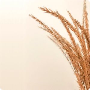 Quarta imatge del producte Loció Corporal Avenatopic de la marca KINESIA