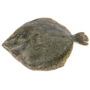 Rodaballo Entero o Mitad