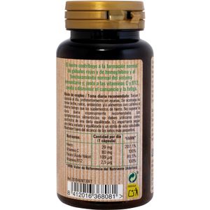 Segona imatge del producte Càpsules Ferro més Vitamines més Àcid de la marca NATURTIERRA