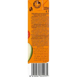 Zumo de Frutas y Leche Sabor Tropical P-6