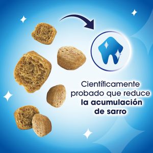 Dentalife Gato Salmón Snack Gato