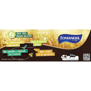 Galleta Digestive Finas Chocolate Negro