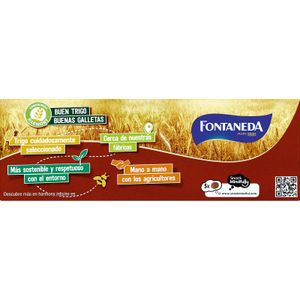 Galleta Digestive Finas Chocolate con Leche