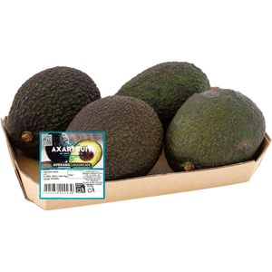 Imagen de Aguacate Bandeja