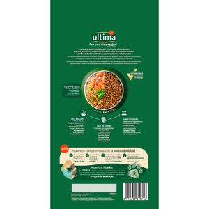 Comida Seca Gato Adulto Salmón