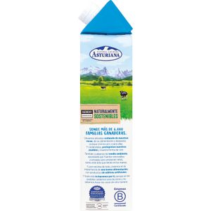 Leche Semidesnatada Brik