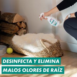 Elimina Olores Textil En Pistola