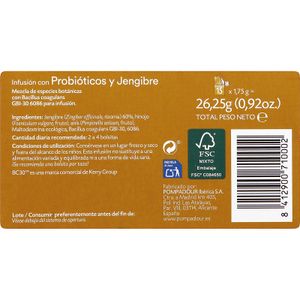 Infusión Probióticos y Jengibre