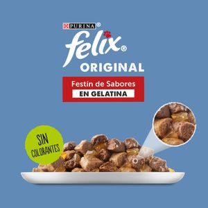 Comida Húmeda Gatos Gelantina Carne