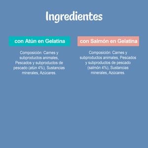 Comida Húmeda Gatos Gelatina Pescado