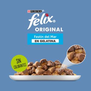 Comida Húmeda Gatos Gelatina Pescado