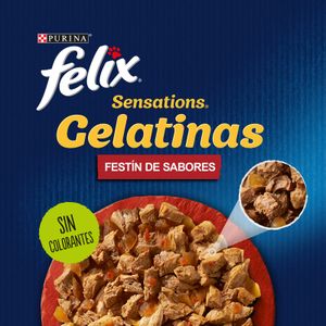 Comida Gato Gelatina Sensations Carne