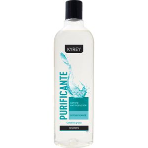 Imagen de Champú Purificante