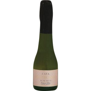 MONTECASINO Cava Semi Seco D.O. Cava