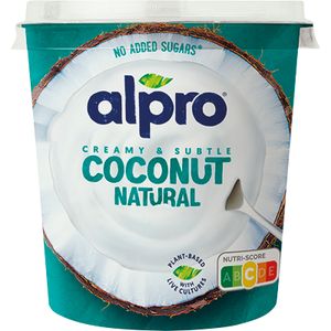 Imagen de Postre de Coco Natural