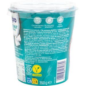 Postre de Coco Natural
