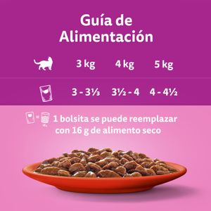 Comida Húmeda Gatos Salsa Selección Carnes