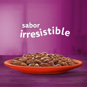 Comida Húmeda Gatos Salsa Selección Carnes