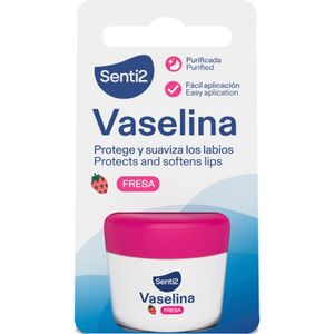 Vaselina Labios Fresa Tarro 1 u