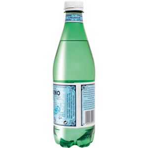 Agua Mineral con Gas Botella Pet