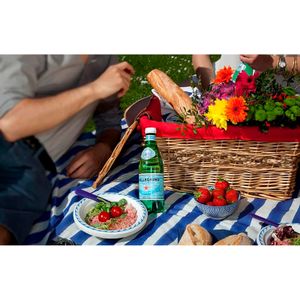 Agua Mineral con Gas Botella Pet