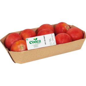 Tomate para Untar Bandeja