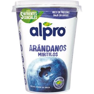 Postre de Soja con Arándanos