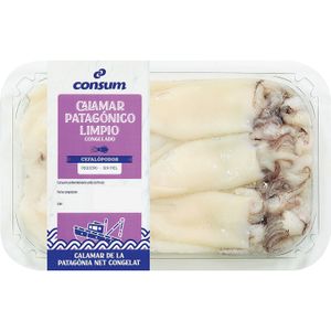 Calamar Patagonico