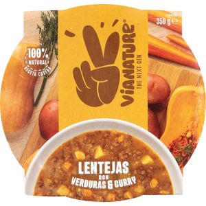 Guiso Lentejas con Verduras al Curry