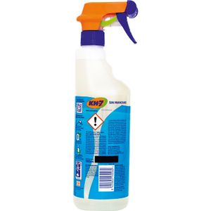 Quitamanchas Spray