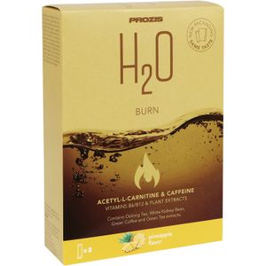 Infusión Burn H20 Piña