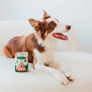 Setena imatge del producte Menjar Gos Natural Llanda Guisat de salmó i porc de la marca WILD BALANCE