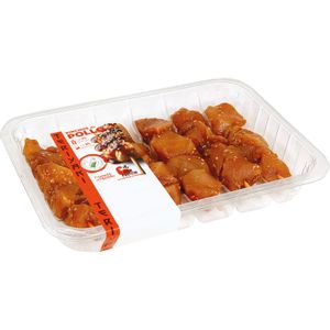 Pincho Pechuga Pollo Teriyaki