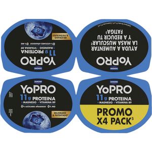 Postre 0%0% Proteico Arándanos