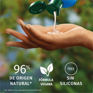 Sisena imatge del producte Xampú Reparador Argània de la marca HERBAL ESSEN
