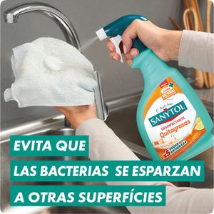 Limpiador Cocina Quitagrasas Pistola