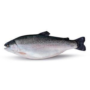 Trucha Fiordos Noruegos Entera o Mitades
